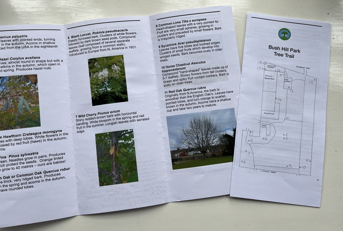 photo of the tree trail leaflet